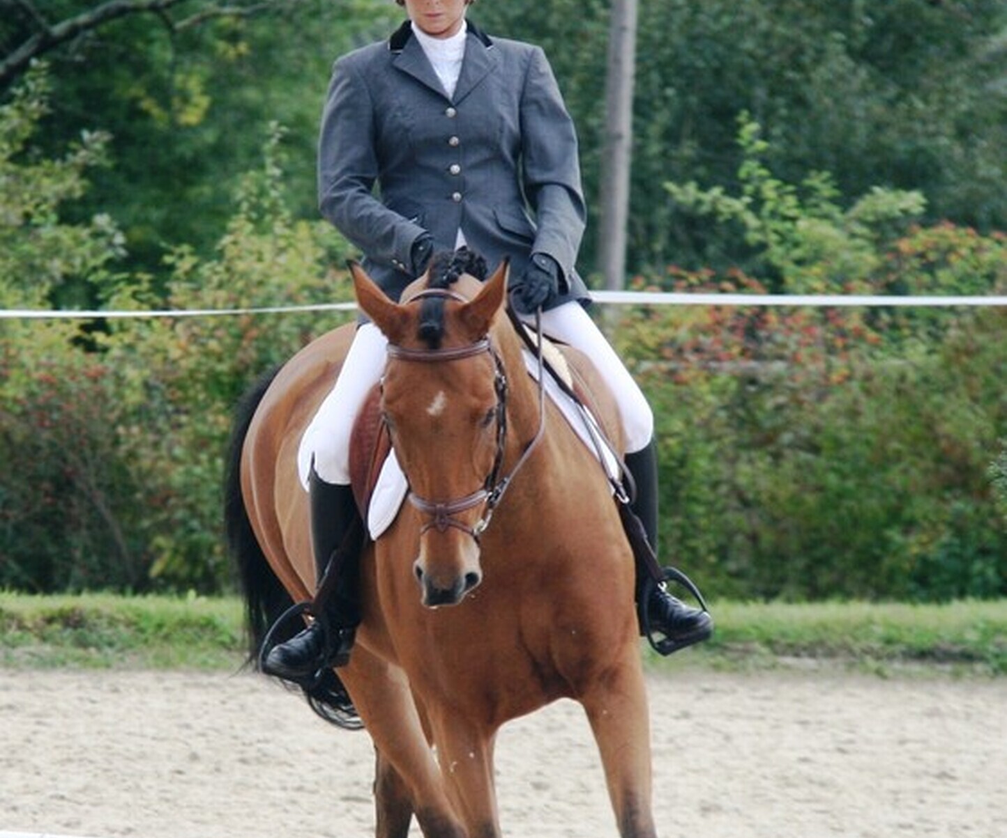 Description de l'image