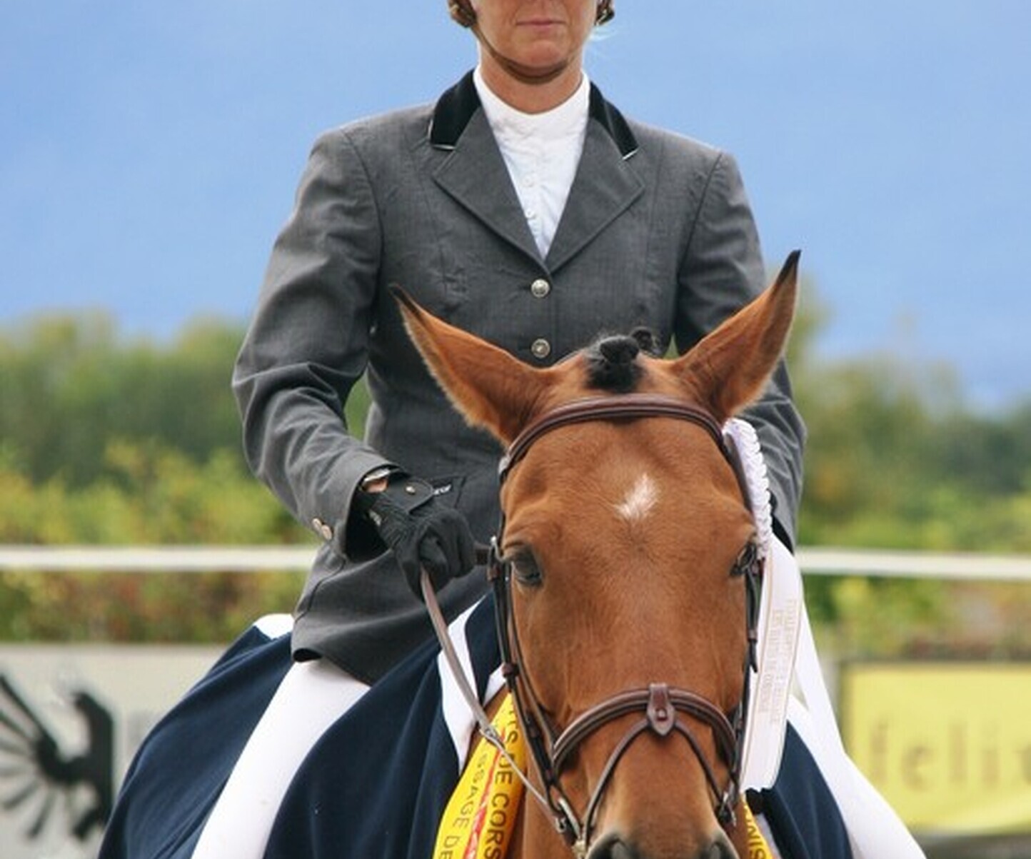 Description de l'image