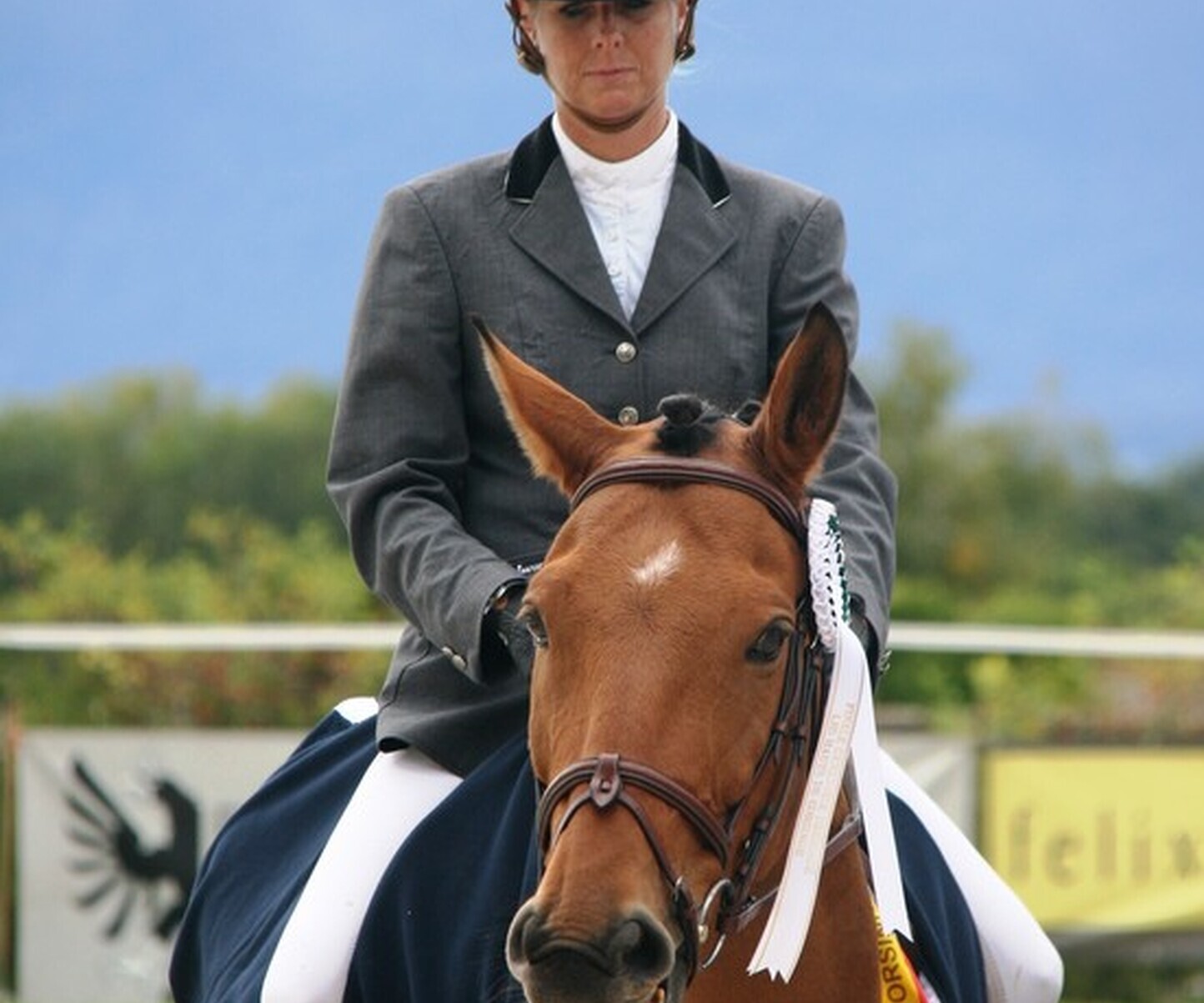 Description de l'image