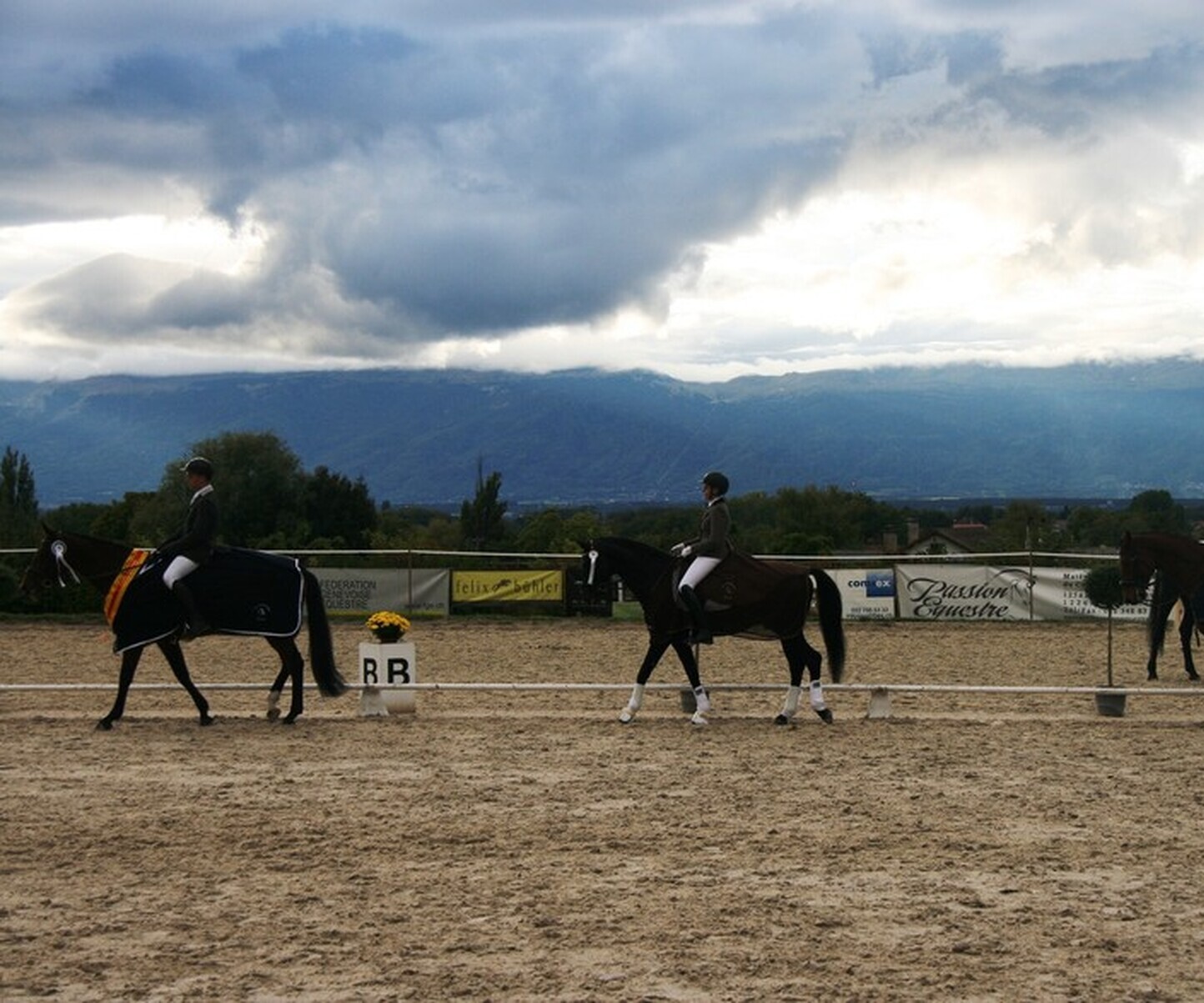 Description de l'image