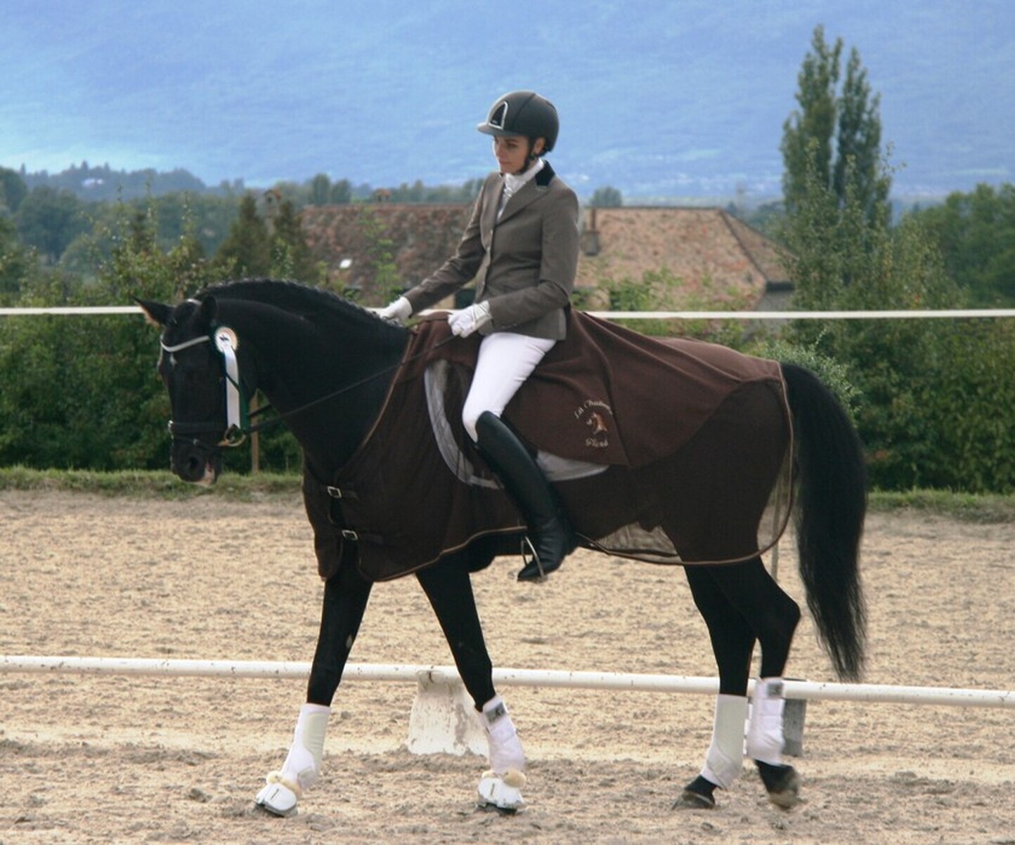 Description de l'image