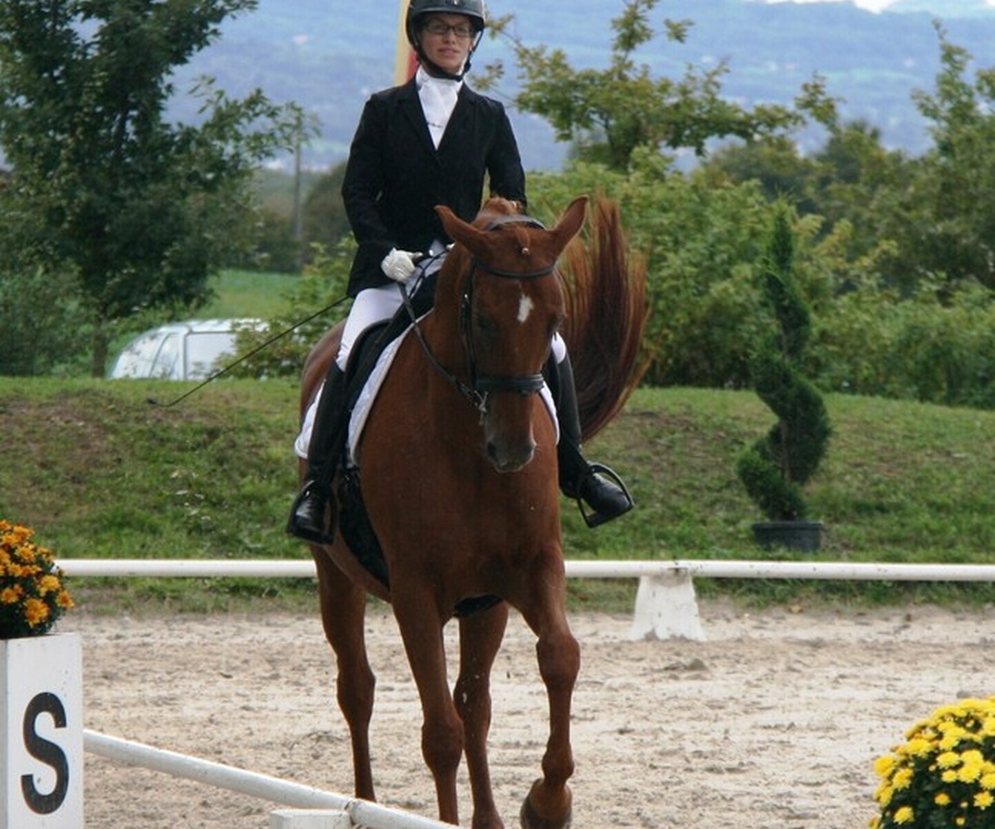 Description de l'image