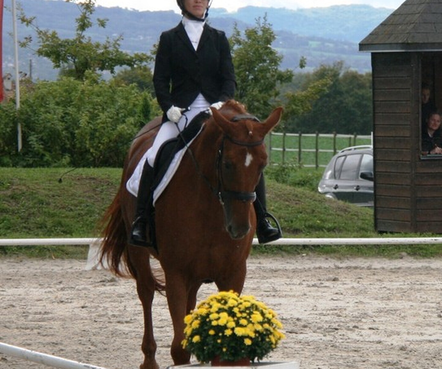 Description de l'image