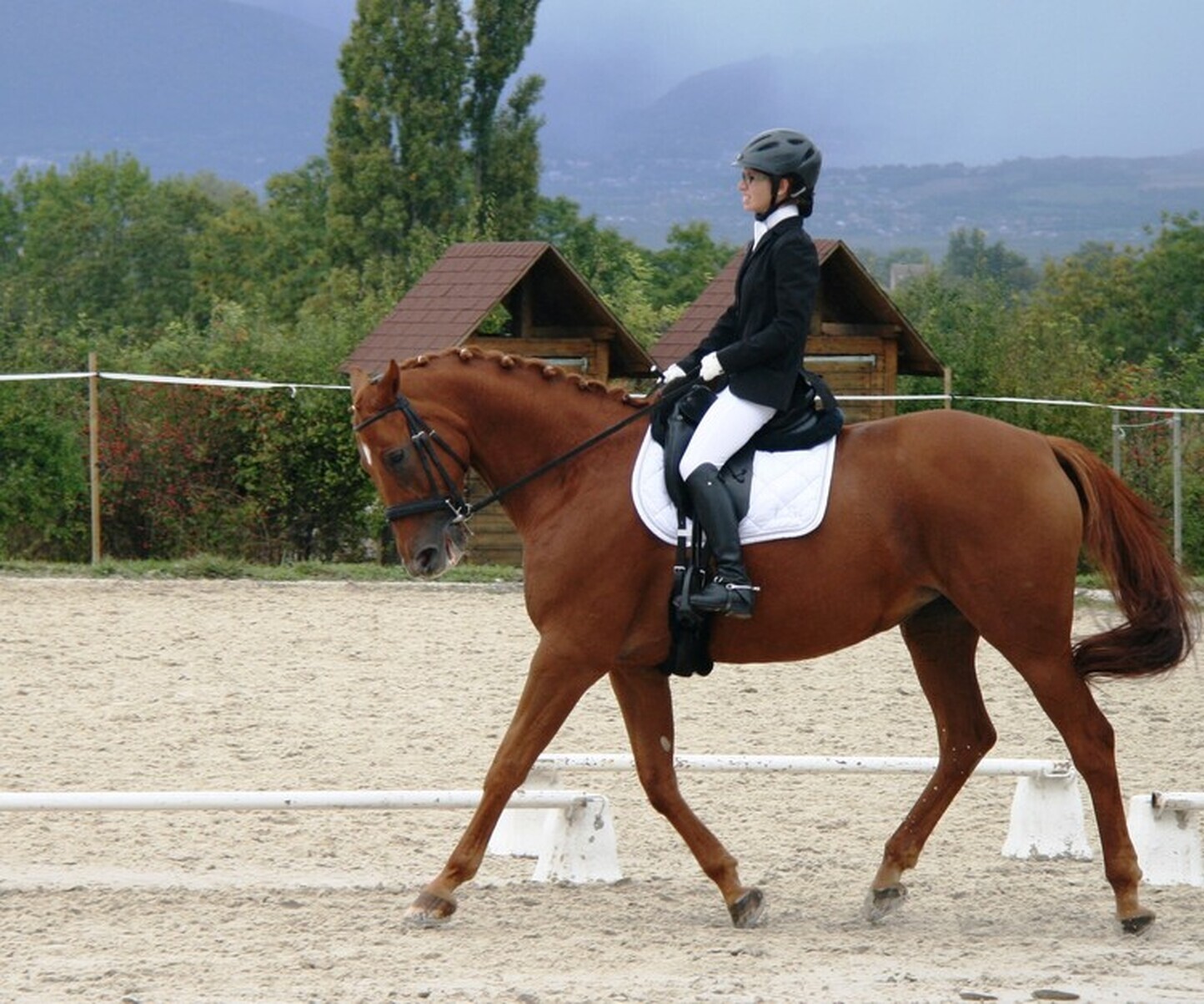 Description de l'image