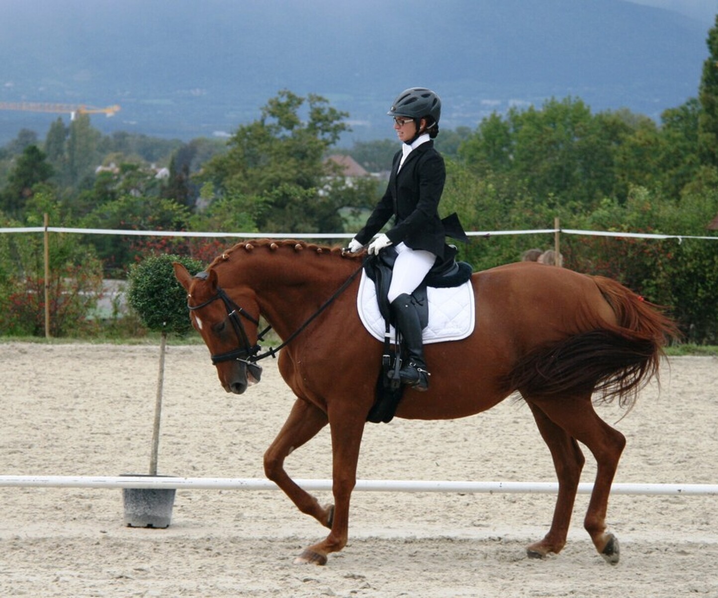 Description de l'image