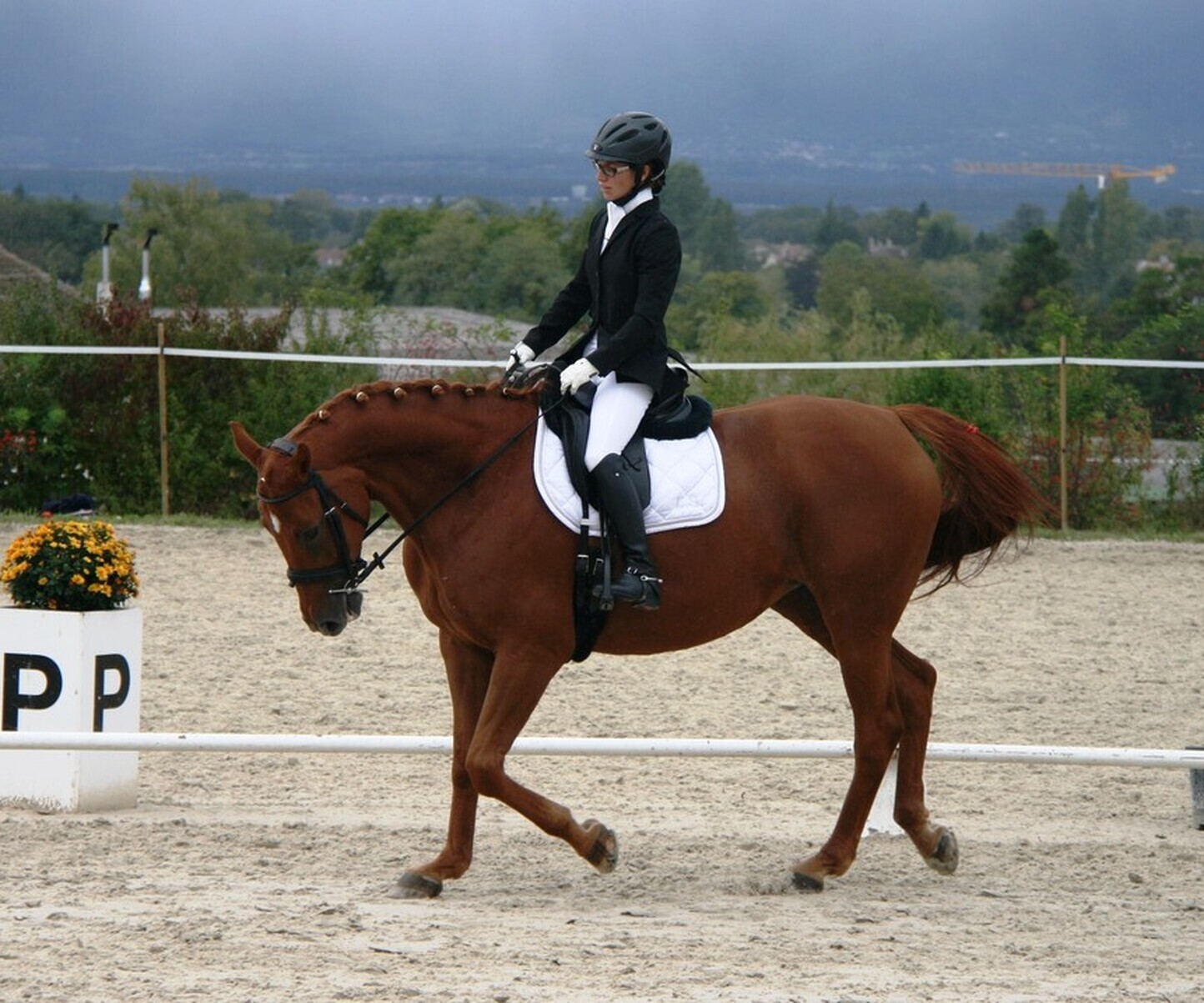 Description de l'image