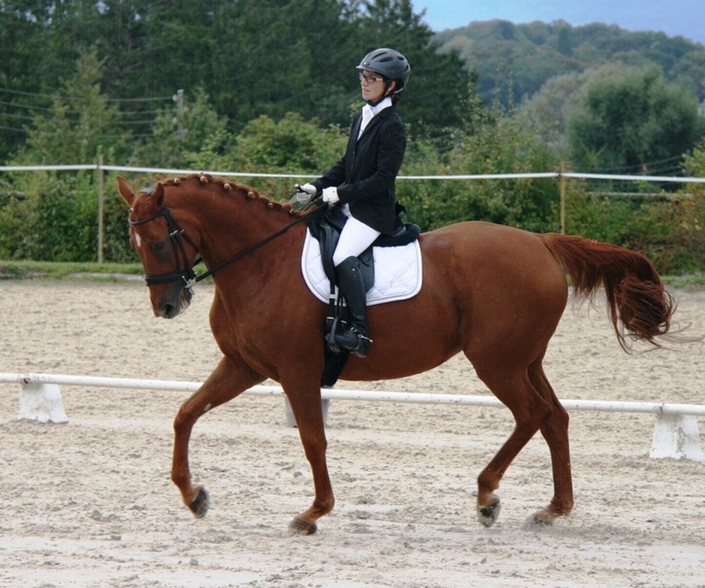 Description de l'image