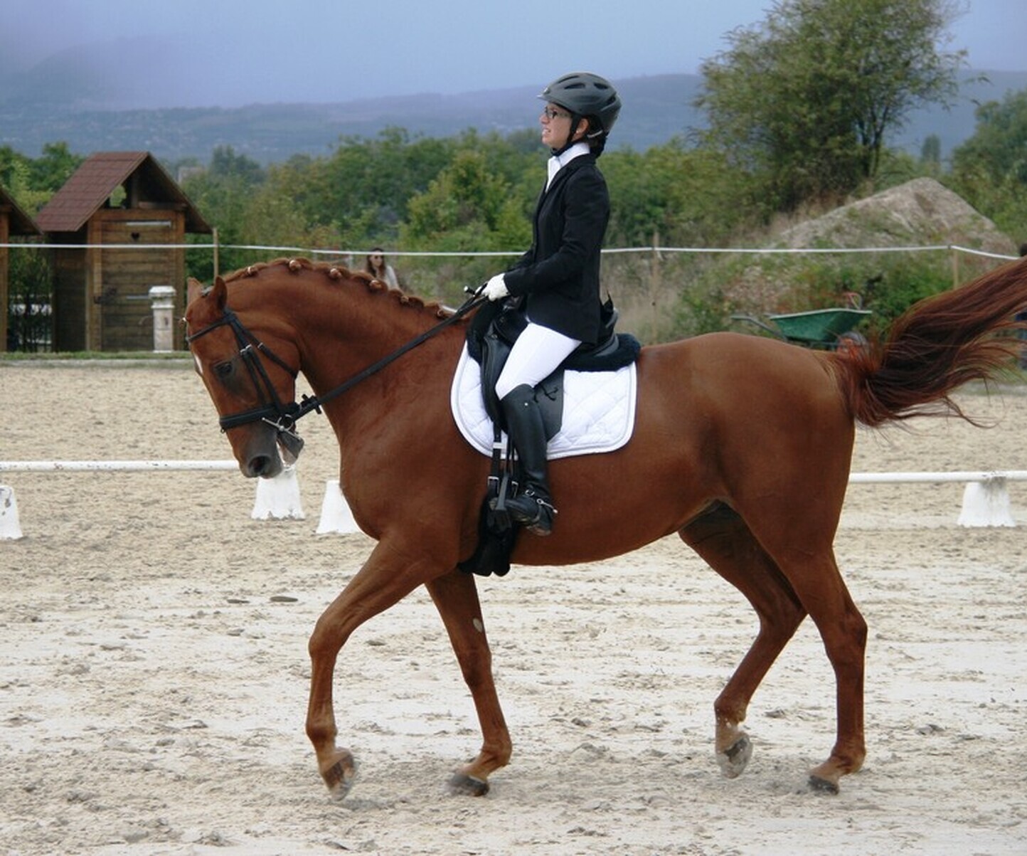 Description de l'image