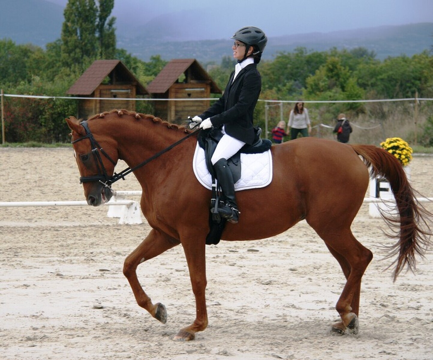 Description de l'image