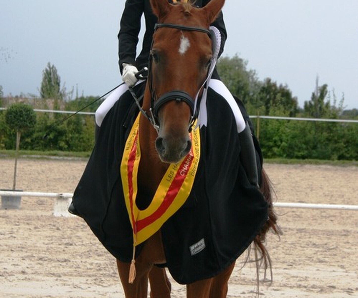 Description de l'image