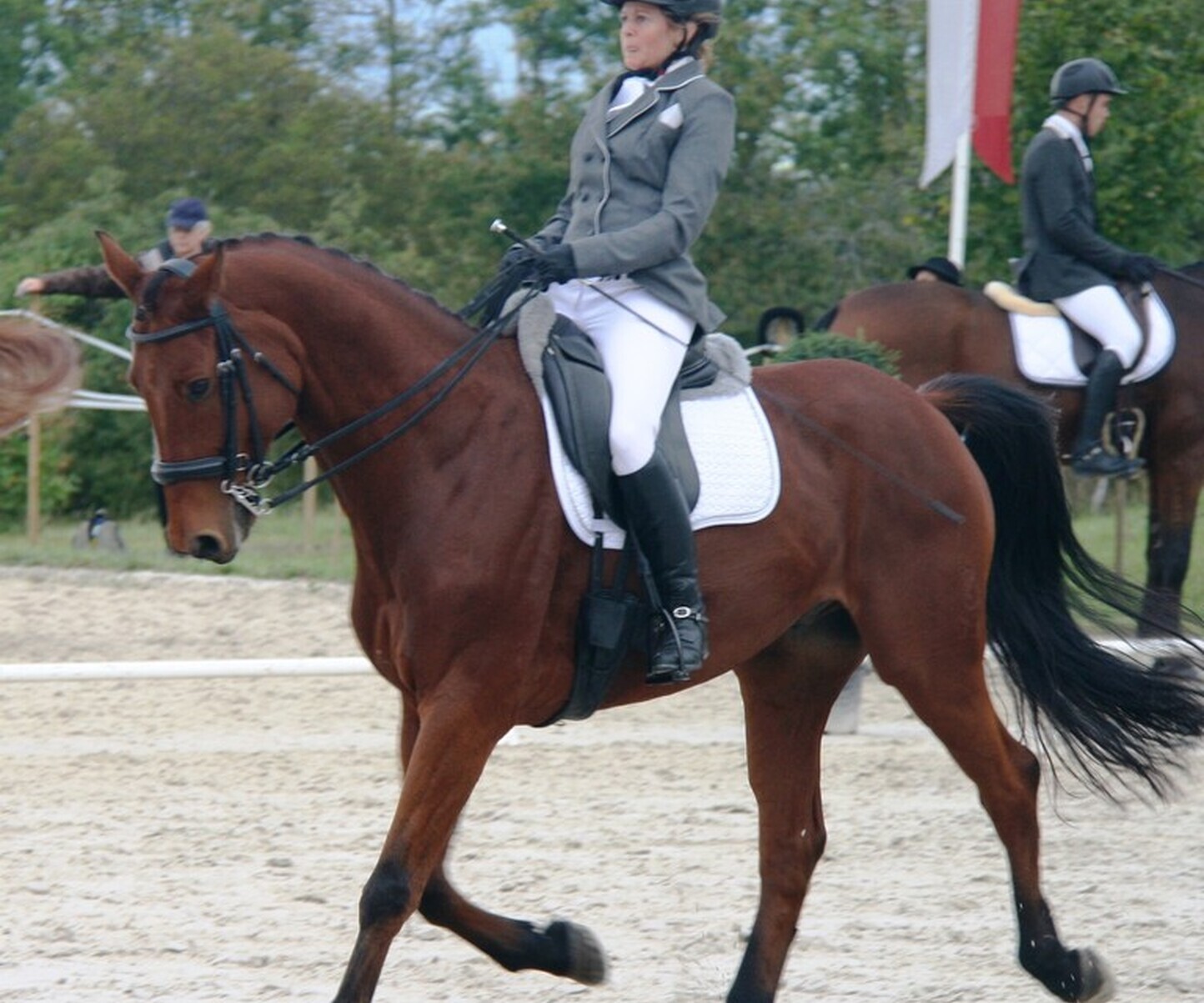 Description de l'image