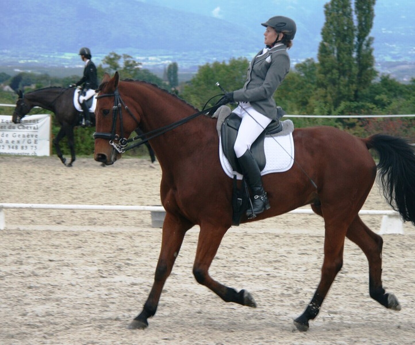 Description de l'image