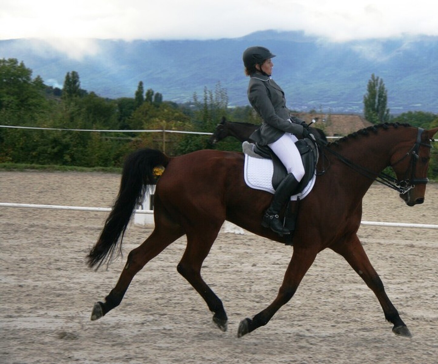 Description de l'image