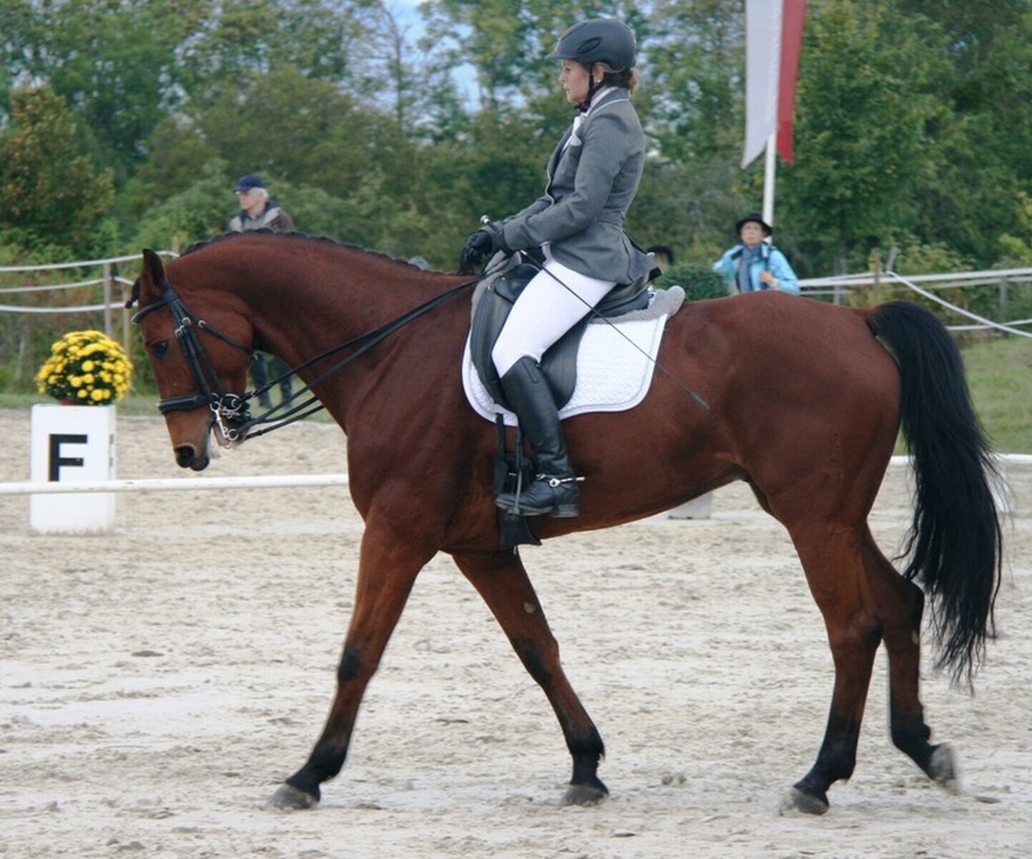 Description de l'image