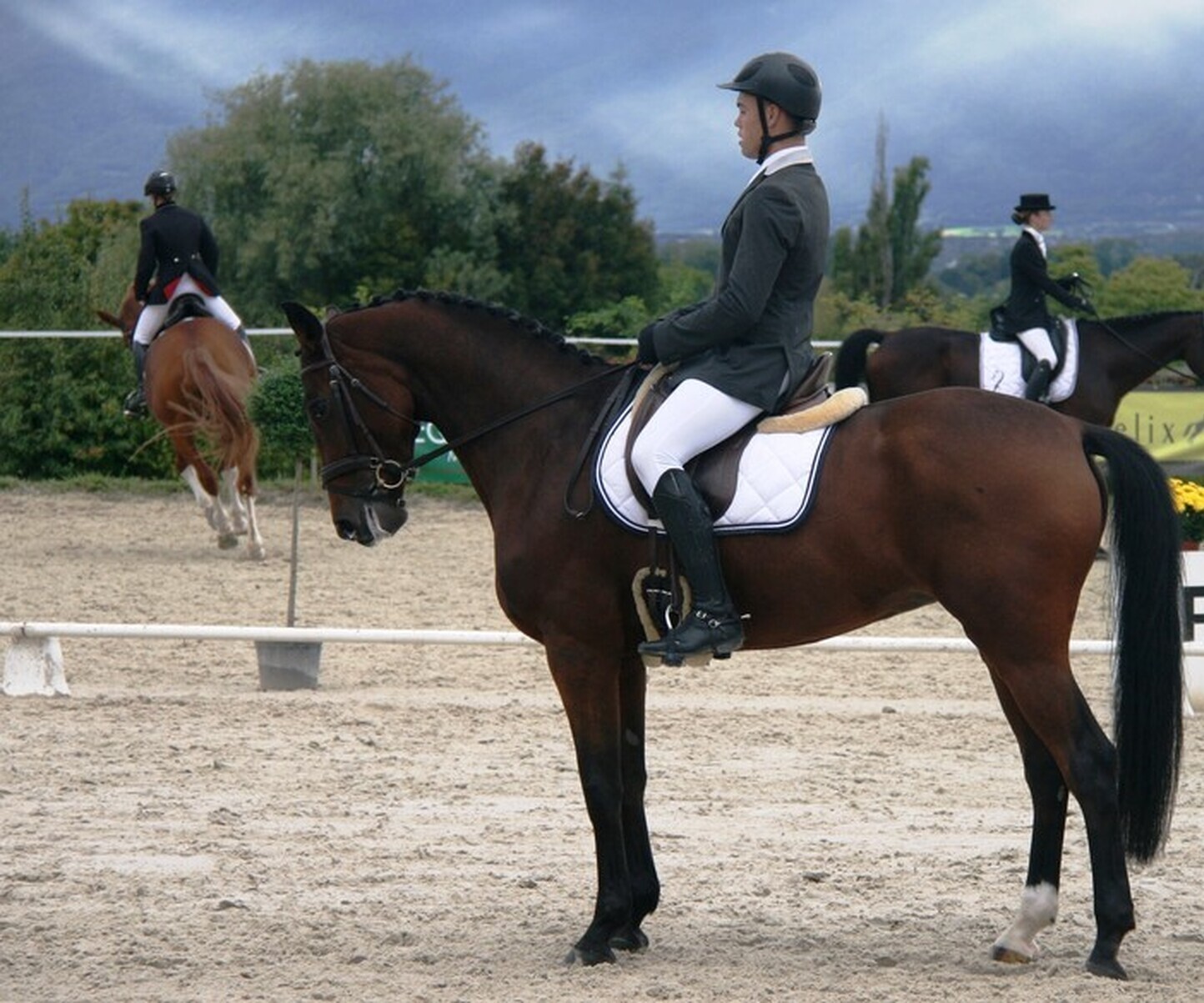 Description de l'image