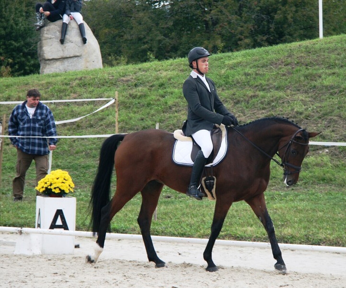 Description de l'image