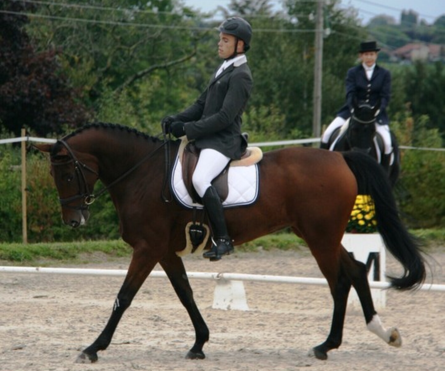 Description de l'image