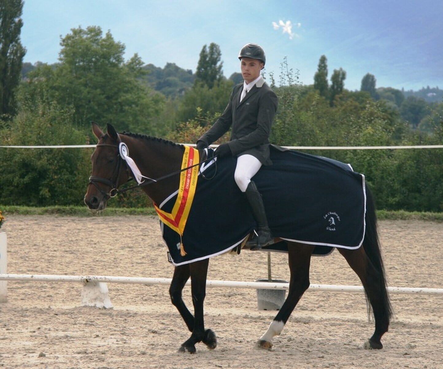 Description de l'image