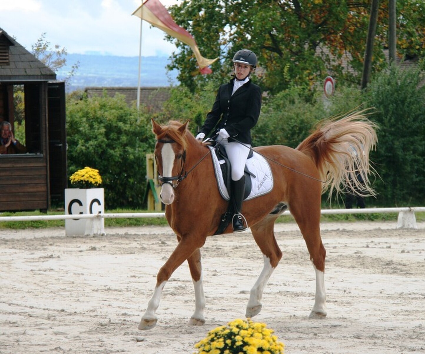 Description de l'image