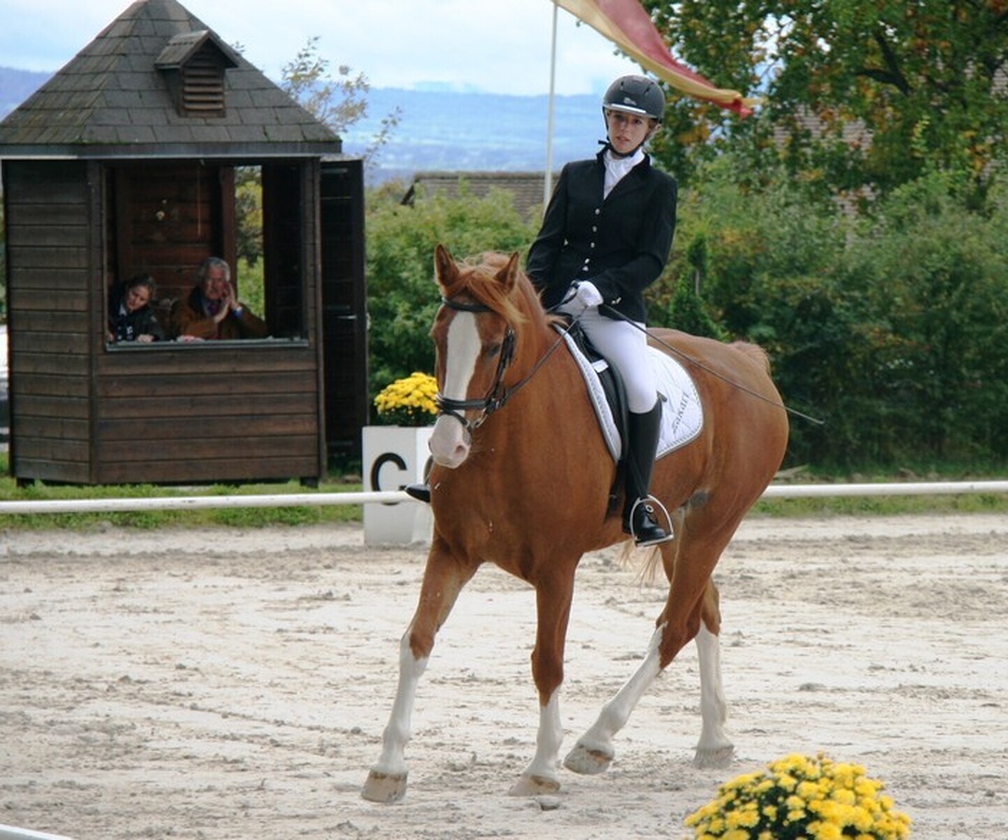 Description de l'image