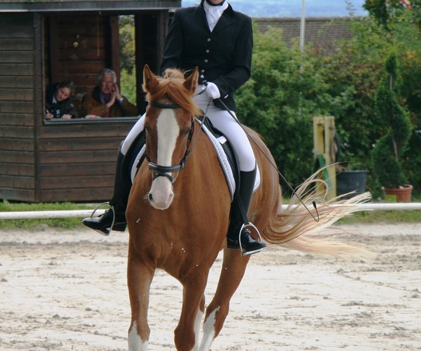 Description de l'image