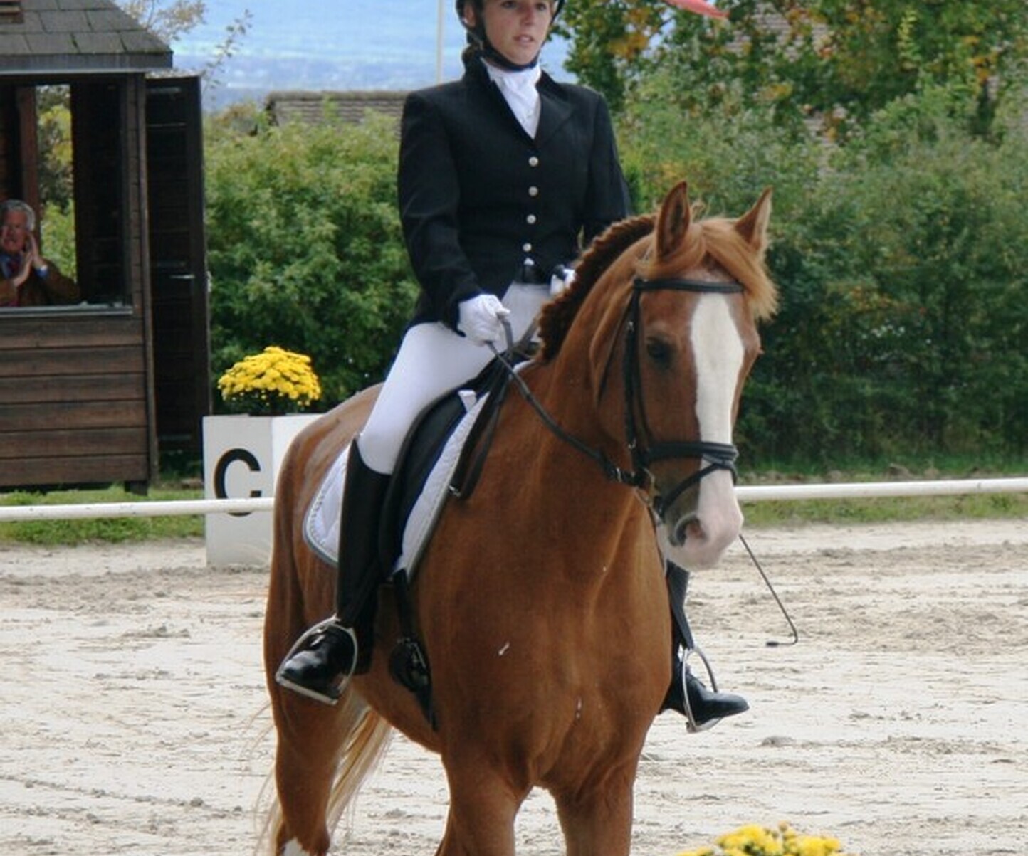 Description de l'image