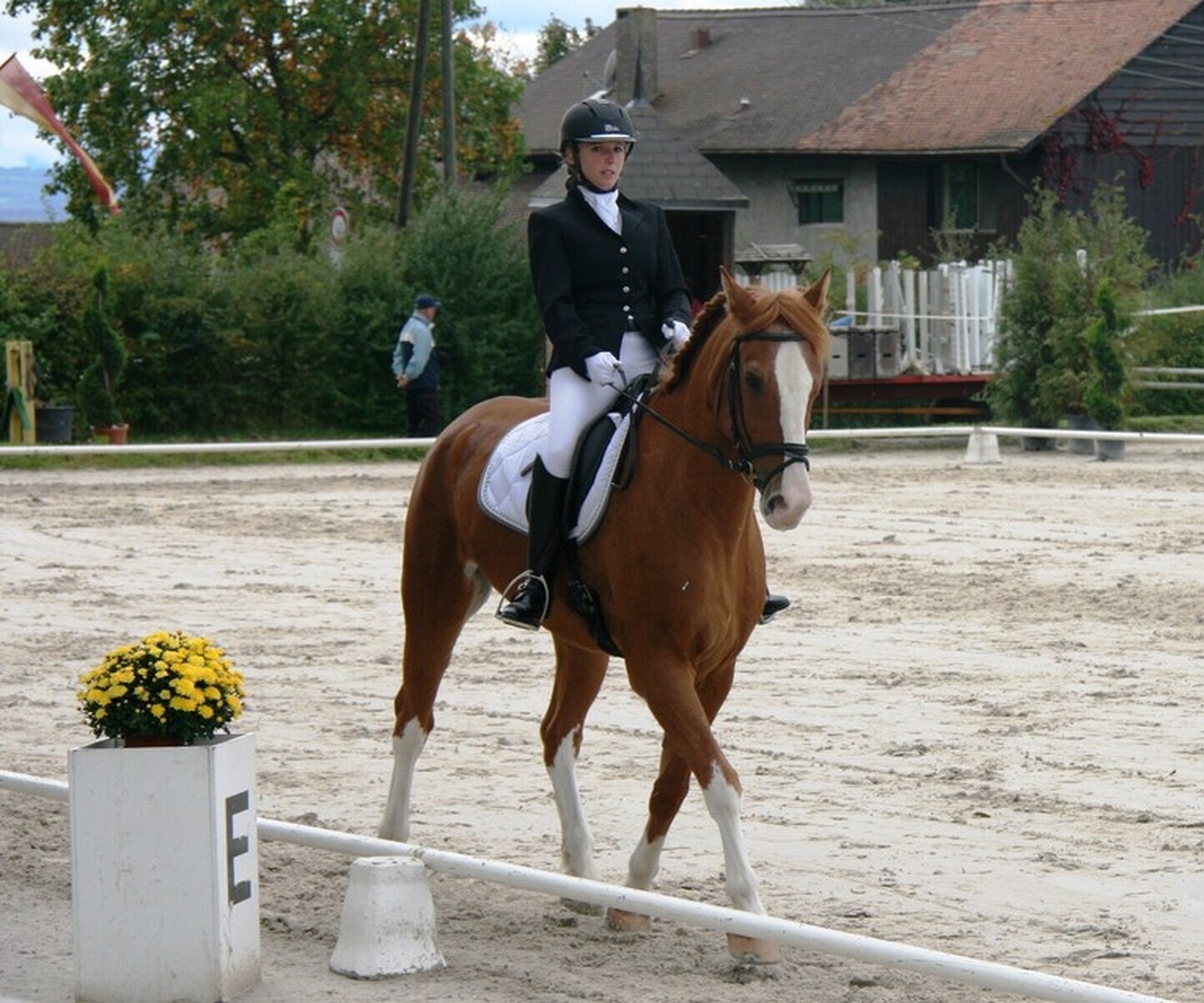 Description de l'image