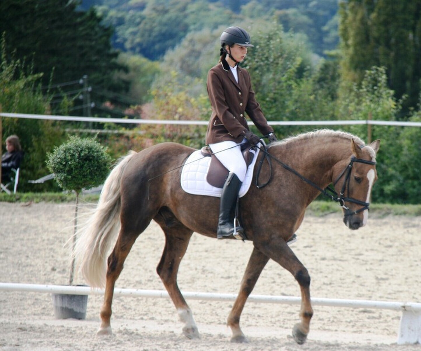 Description de l'image