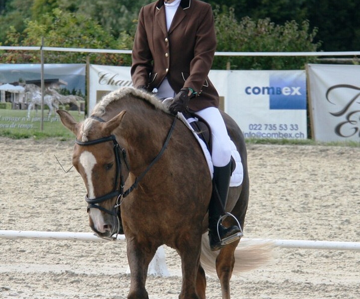 Description de l'image