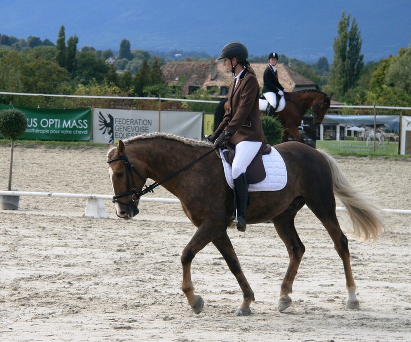 Description de l'image