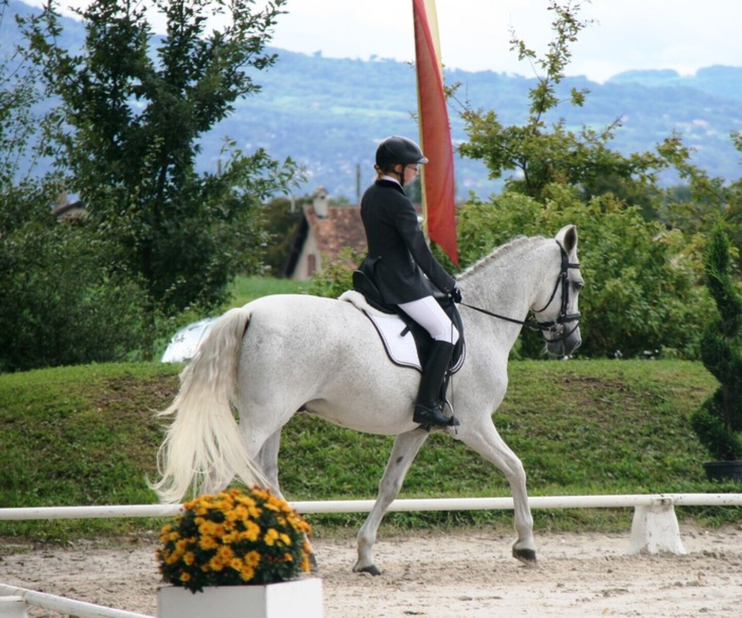 Description de l'image