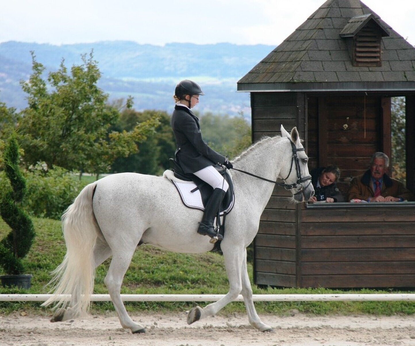 Description de l'image