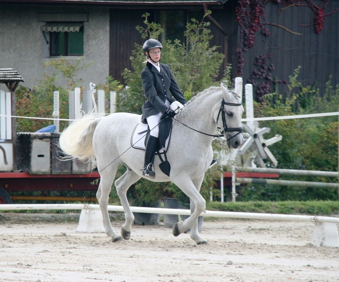 Description de l'image