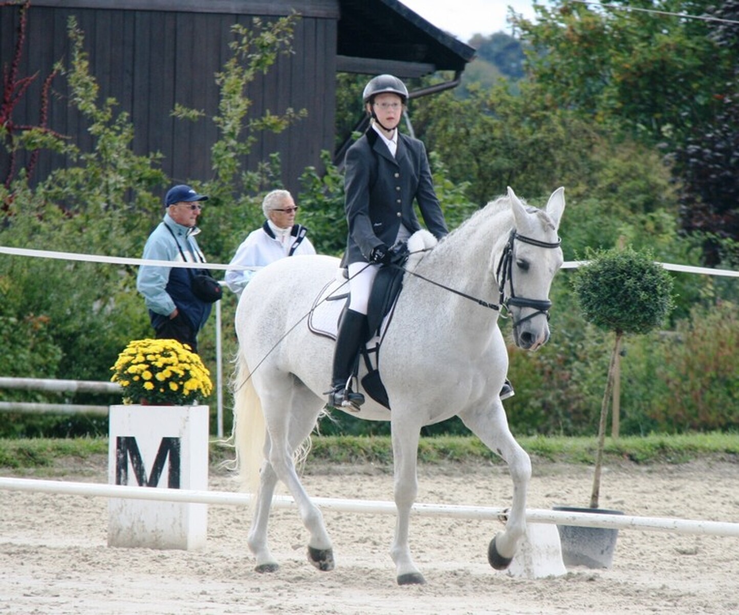 Description de l'image