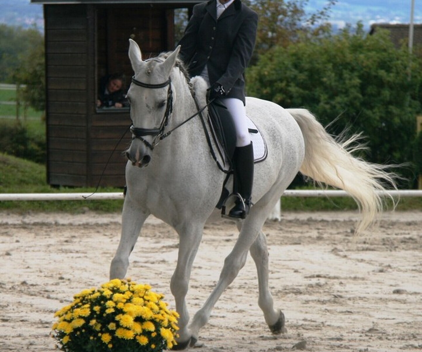 Description de l'image