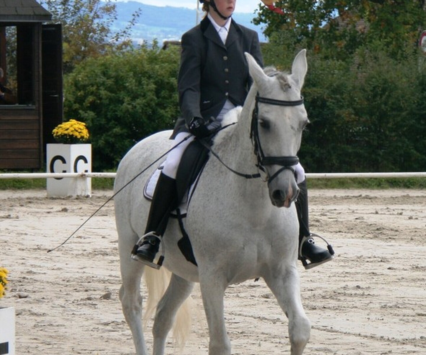 Description de l'image