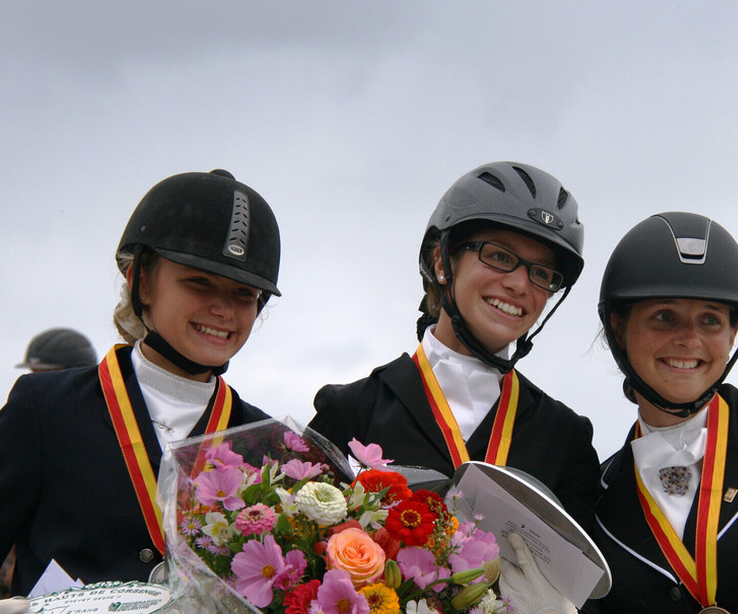 Description de l'image