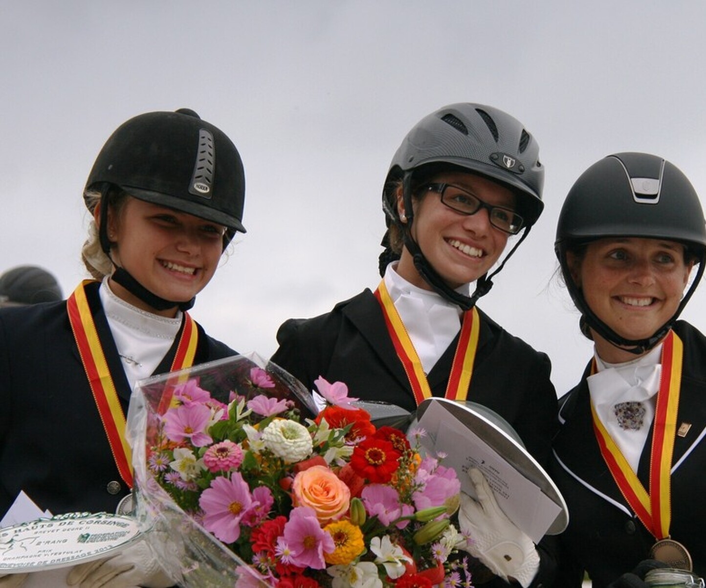 Description de l'image