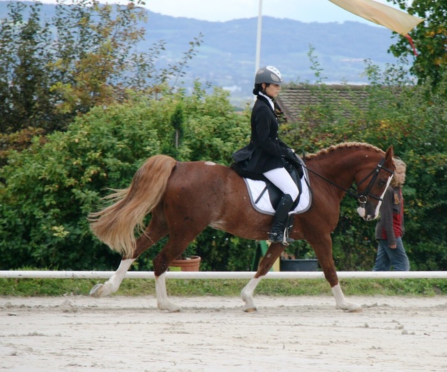 Description de l'image