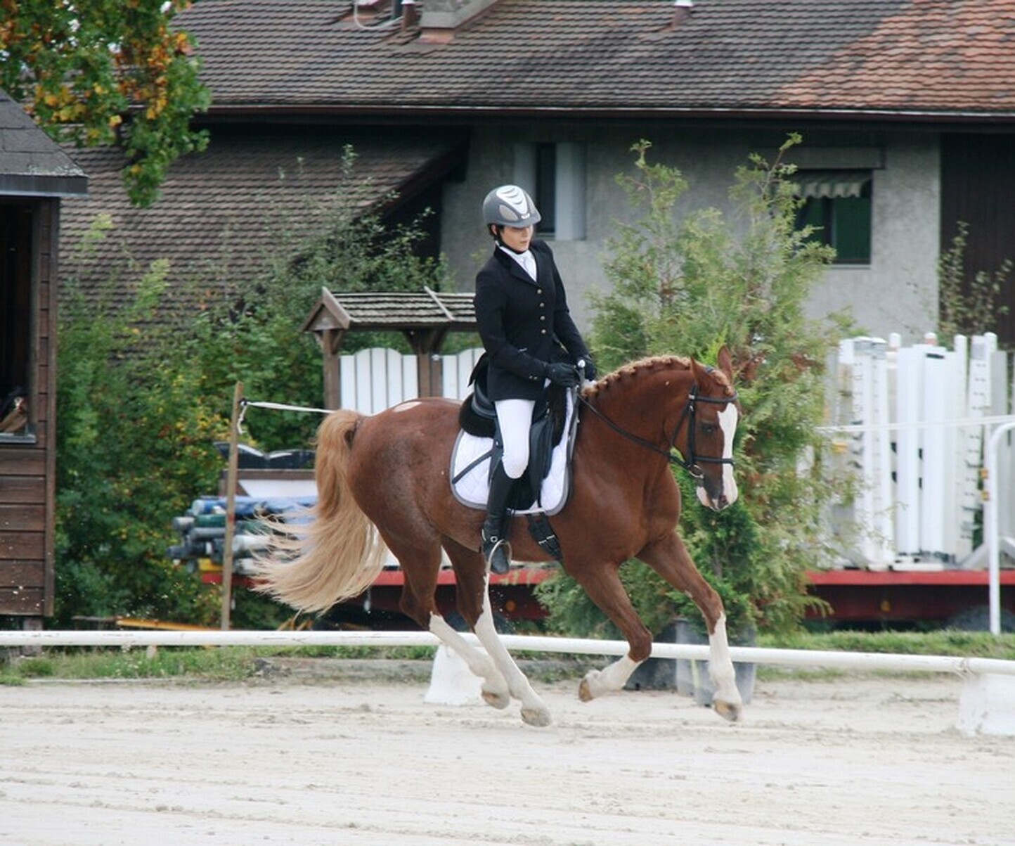 Description de l'image