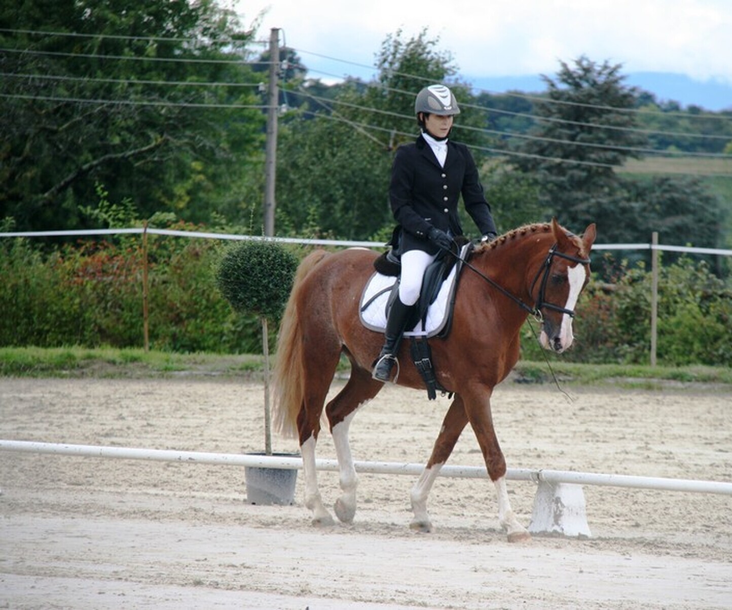 Description de l'image