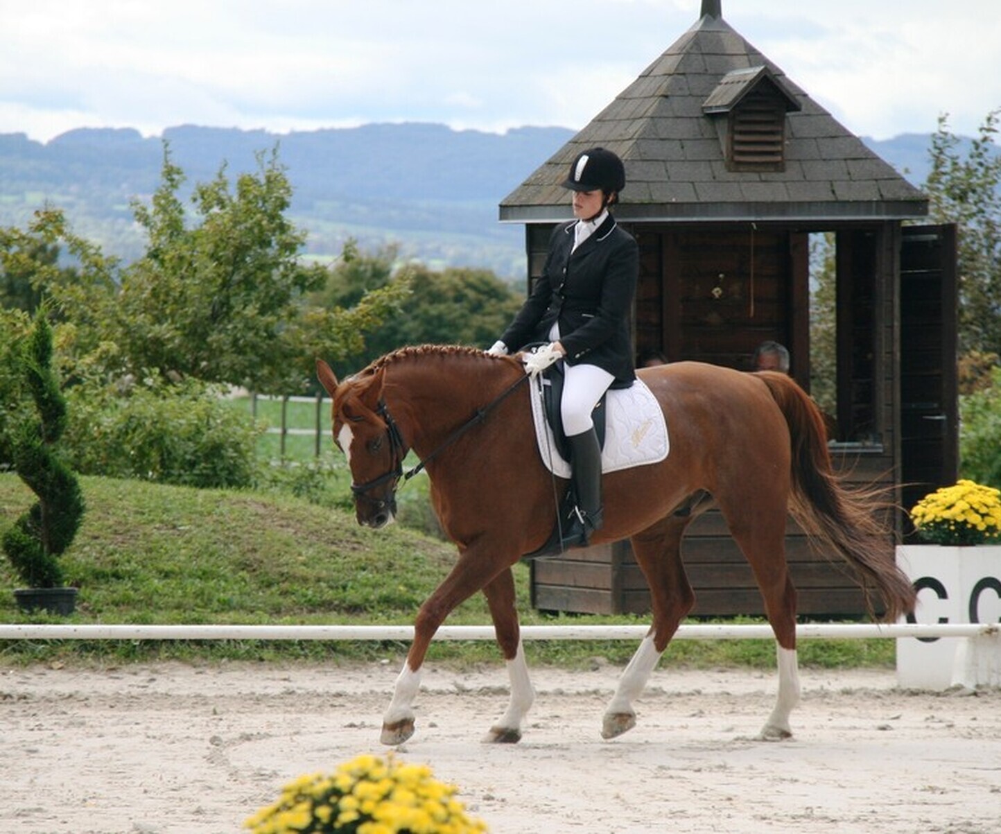 Description de l'image