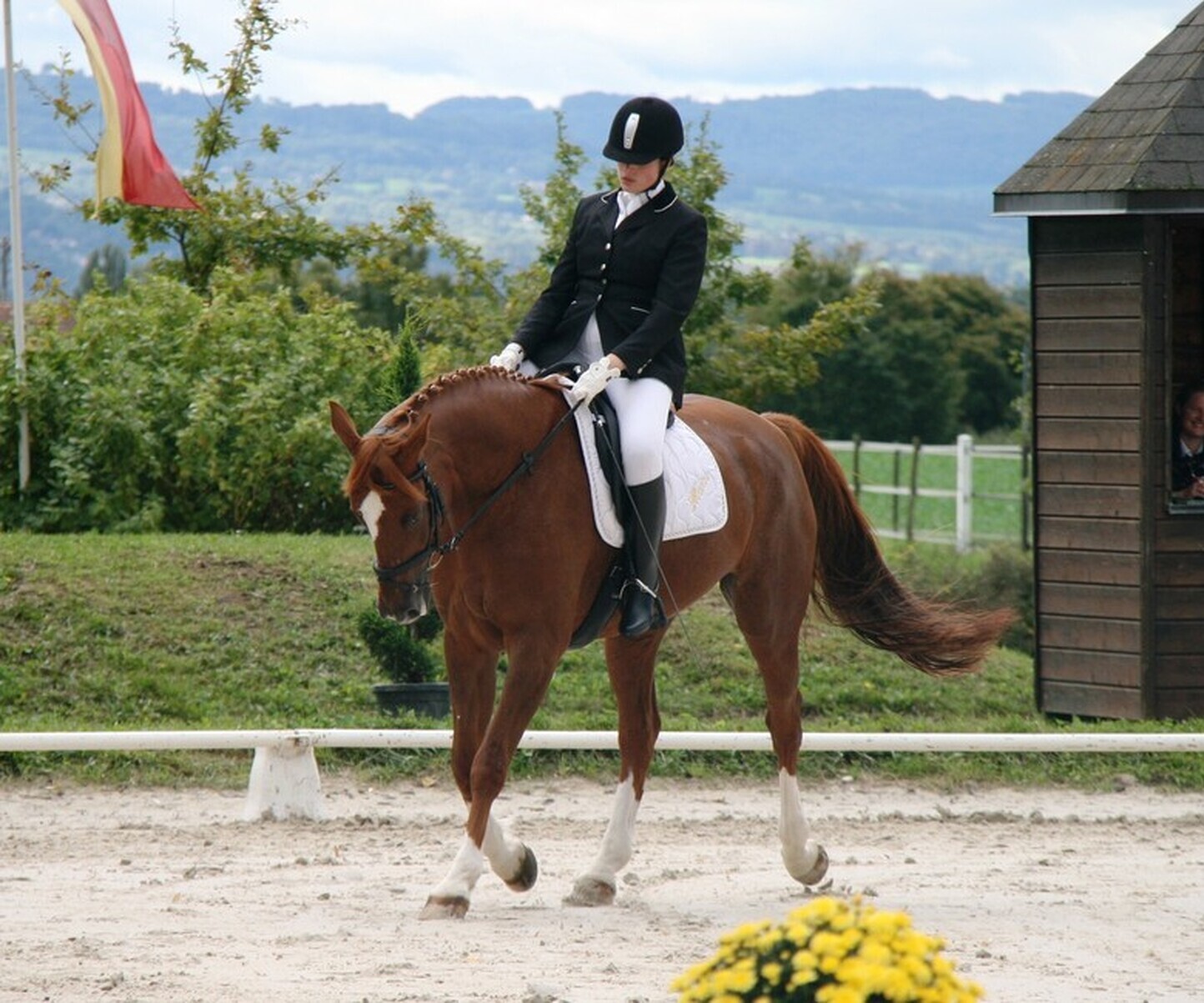 Description de l'image