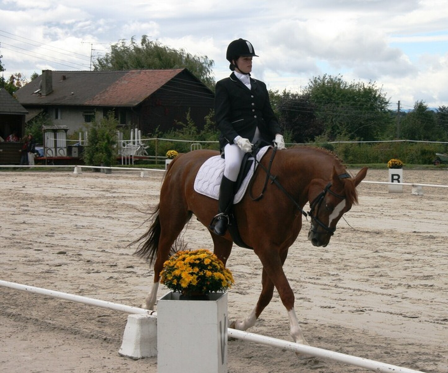 Description de l'image