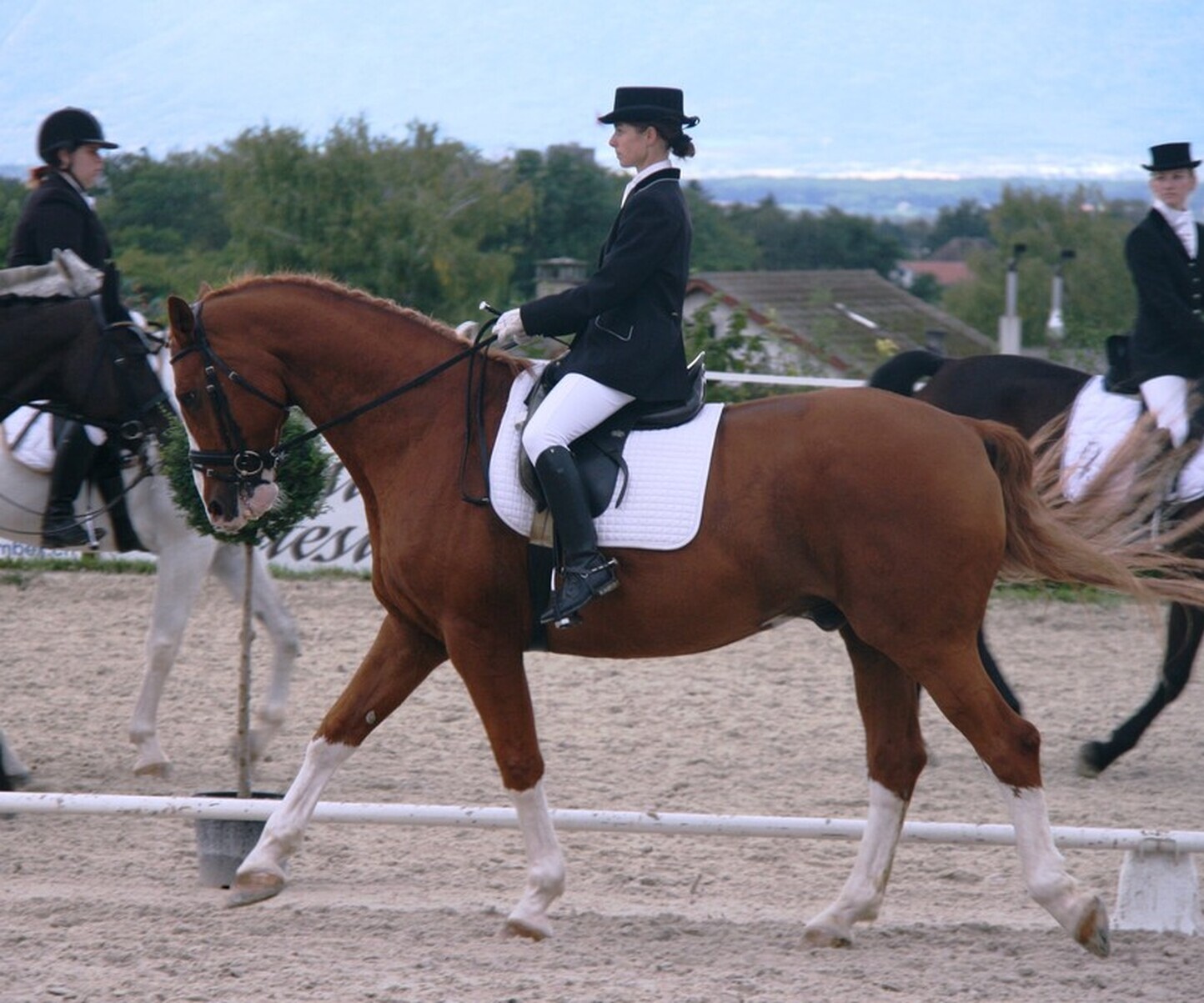 Description de l'image