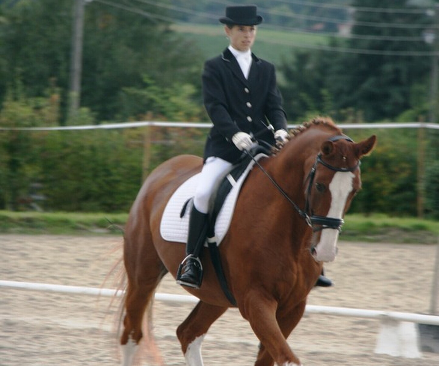 Description de l'image