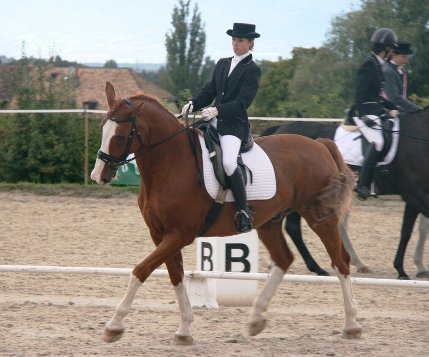 Description de l'image