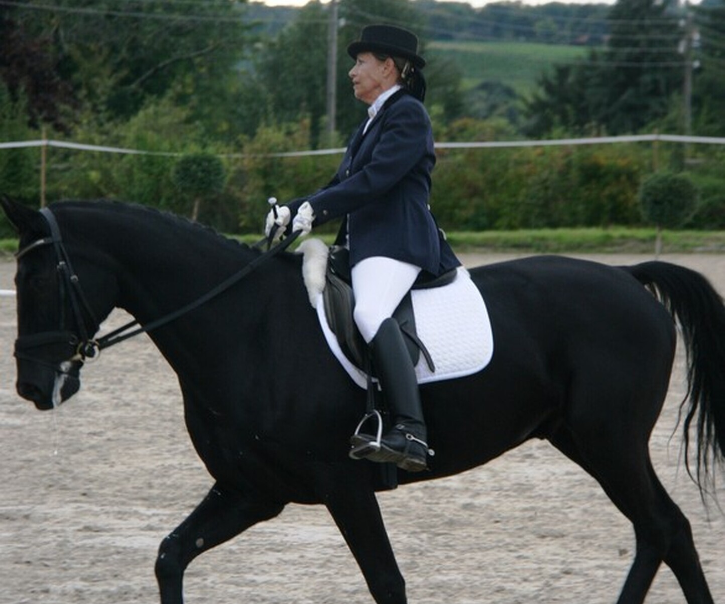 Description de l'image