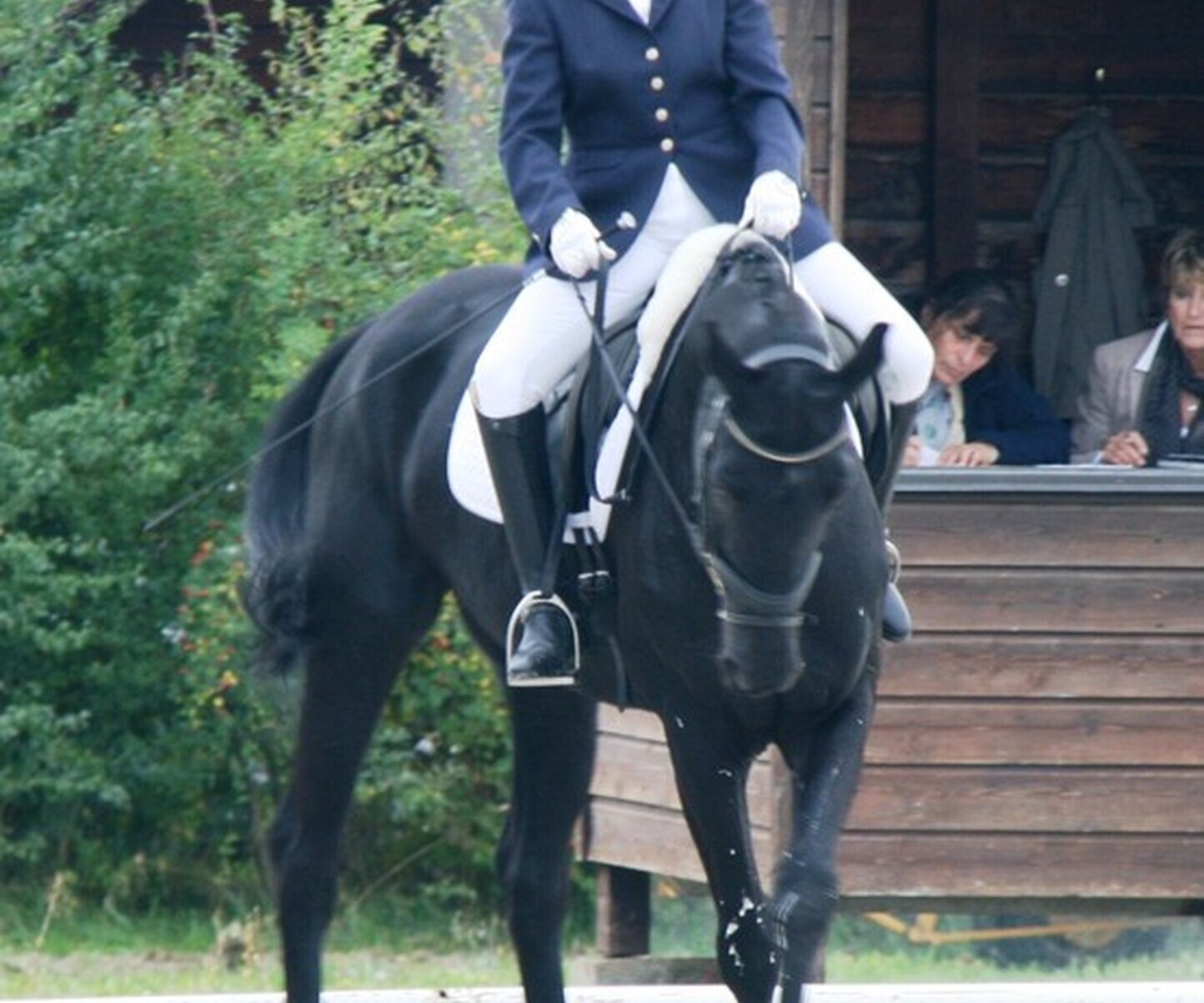 Description de l'image