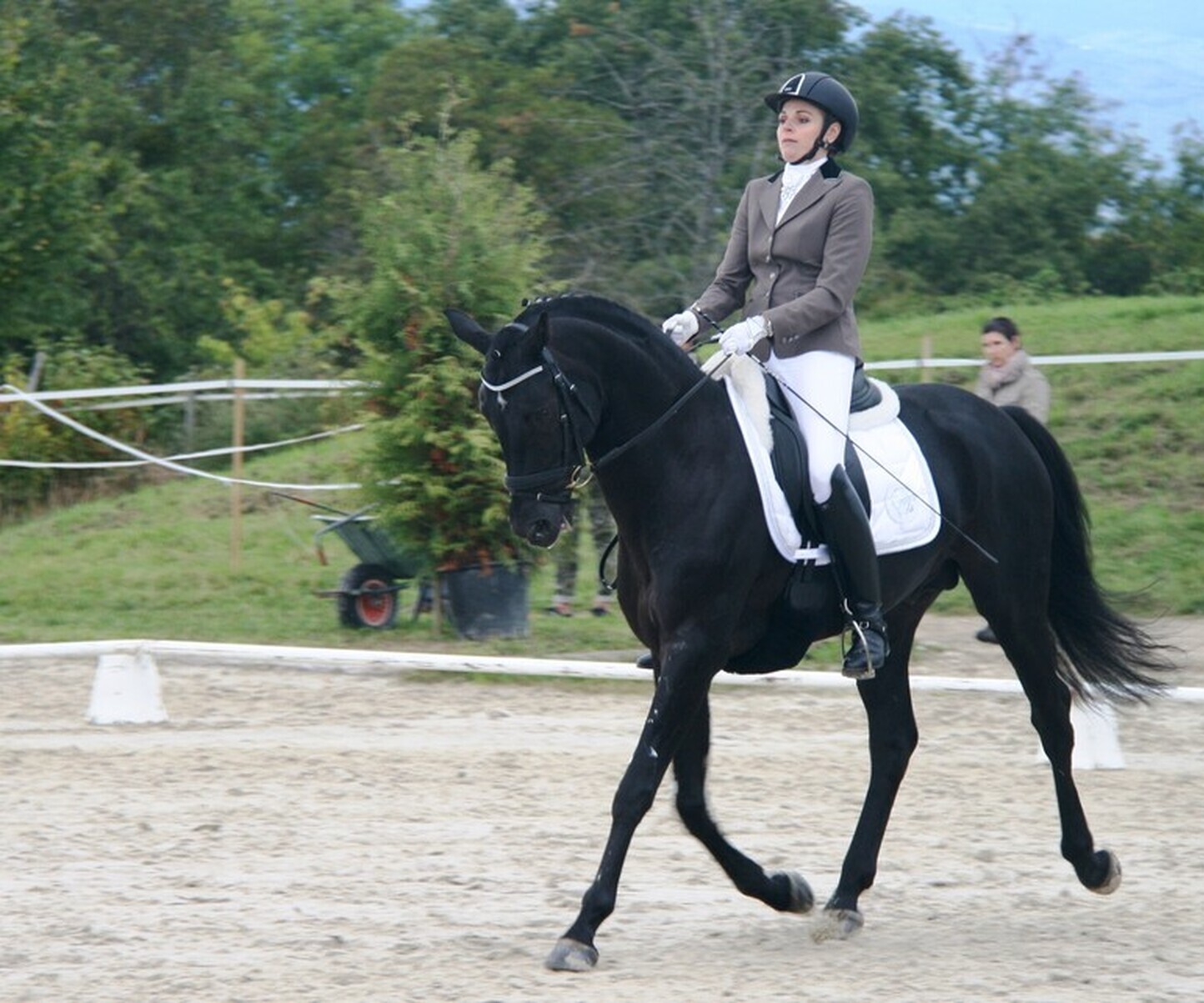 Description de l'image